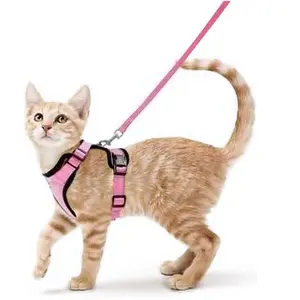 Safety Guidance Pet Vest with Side Buckle, 2pcs Adjustable Reflective Mesh Cat Harness & Solid Color Cat Lead, Pet Outdoor Supply for Small Cat, Reflective Strip Harness, Pet Supplies