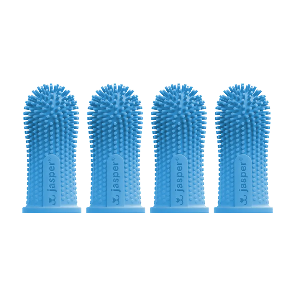 Jasper Dog Toothbrush, 360º Dog Tooth Brushing Kit, Cat Toothbrush, Dog Teeth Cleaning, Dog Finger Toothbrush, Dog Tooth Brush for Small & Large Pets  - Blue 4-Pack