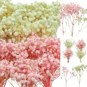 100-Piece Bohemian Mini Dried Baby's Breath (Pink & White) – Perfect for DIY Crafts, Home Decor, Weddings, Parties & Seasonal Celebrations – Versatile & Easy to Use for Elegant Floral Arrangements