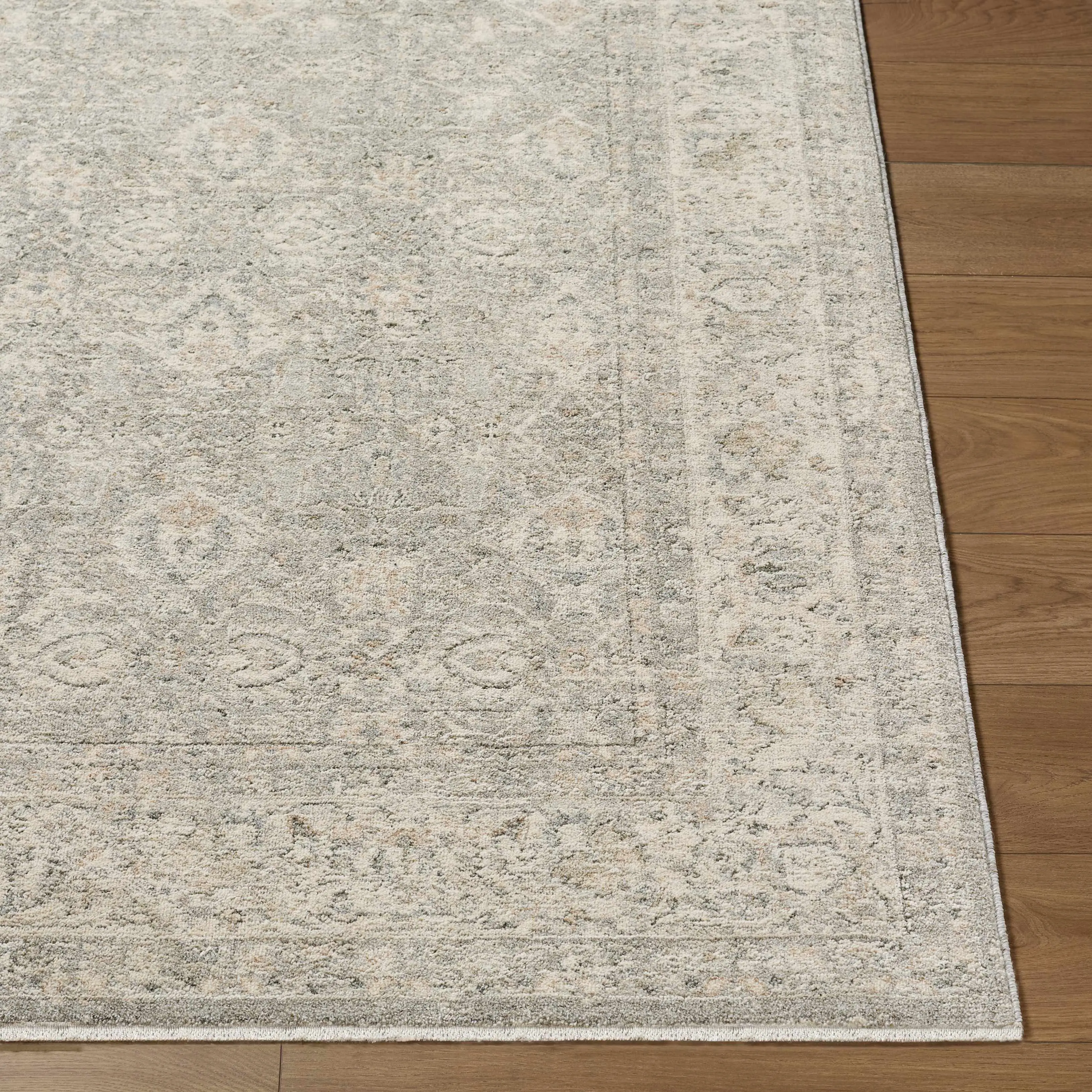 Buddug Area Rug