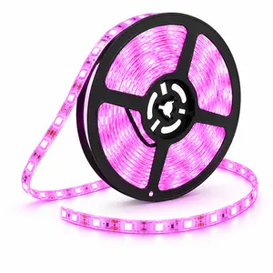Perfect Holiday LED Strip Lights Ambient Lighting Waterproof Flexible 300 LED 5M Ultra Bright 3528 - Pink