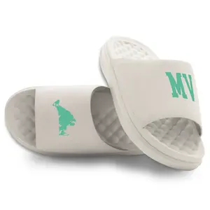 Martha's Vinyard Island Slides