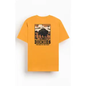 Dickies Men's Darrtown T-Shirt - Multicolor