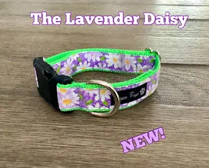 Feminine Adjustable Dog Collar with daisies