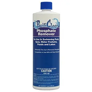 212 MAIN Chloride-Based Outdoor Swimming Pool Phosphate Remover - 1 qt. Household Pool Chemicals Water Treatment Solution