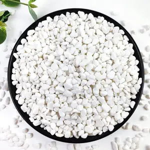 2LB Succulent and Cactus Gravel Pebbles, 1/5 Inch White  Decorative Polished Stones, River Rocks for , Vases, Aquariums, Terrarium and Outdoor Gardening,White