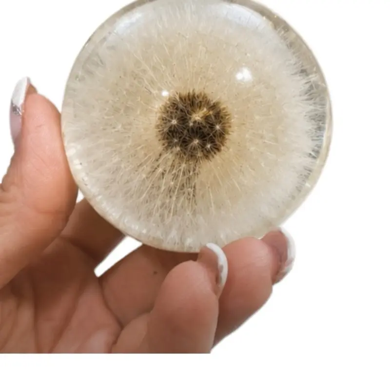 Dandelion Seed Resin Paperweight