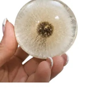 Dandelion Seed Resin Paperweight