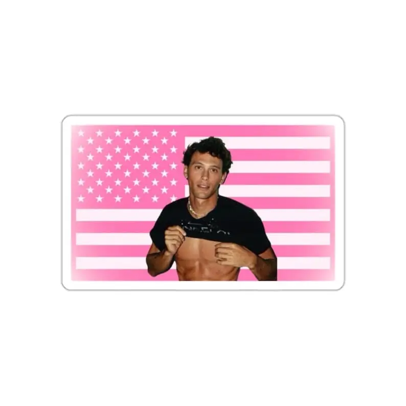 Cooper Koch Sticker, Menendez Brothers, Monsters Show, Erik Menendez Flag, Nicholas Chavez, Lyle Funny Vinyl Sticker