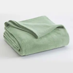 Mint Green Micro Fleece Blanket, Cozy and Lightweight, Smooth Modern Design in Cool Neutral Color