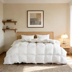 Feather Down Fiber Comforter Twin Size,Premium Ultra-Soft Breathable Comforter High Fill Power Grey Duvet Insert,All Season Hotel Luxury Bedding Comforters (White/All Season, Twin)