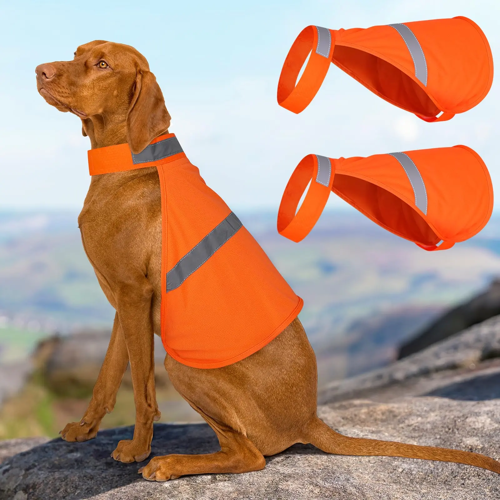Reflective Dog Safety Vest (2-Pack)