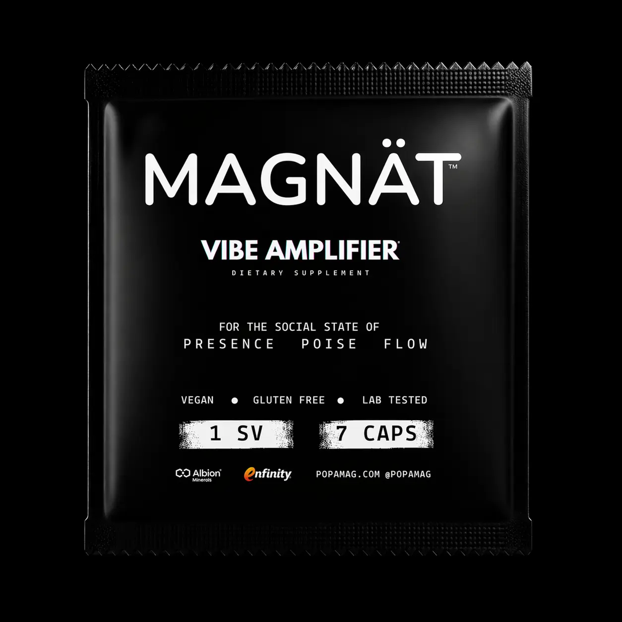 MAGNÄT Vibe Amplifier Single