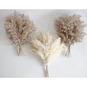 30 count Boho Decor, Fluffy Pompas Grass,  Dry Pampas Grass Small, Short Pampass Bulk for Boho Room Decor, Coffee Table Decor (17 inch )