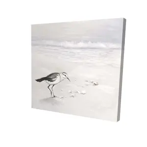 360 Stand Semipalmated Sandpiper Wall Print - 36x36 in. Artistic Photo, White Home Decor, Ideal Gift for Home Supplies Enthusiasts (Bathroom Use)