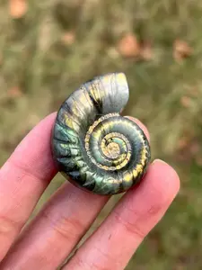 1 unique high-quality labradorite snail sculpture, Polished Natural Gemstones, perfect for jewelry making, hand polishing, home decoration and craft projects. Ideal gift for Christmas, Valentine's Day, Mother's Day and graduation ceremonies.