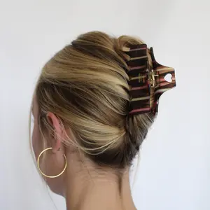 Raspberry Lemon Cafe Claw Clip