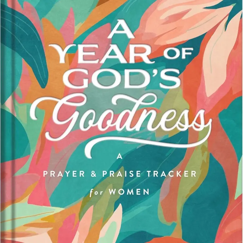 A Year of God’s Goodness A Year of God’s Goodness