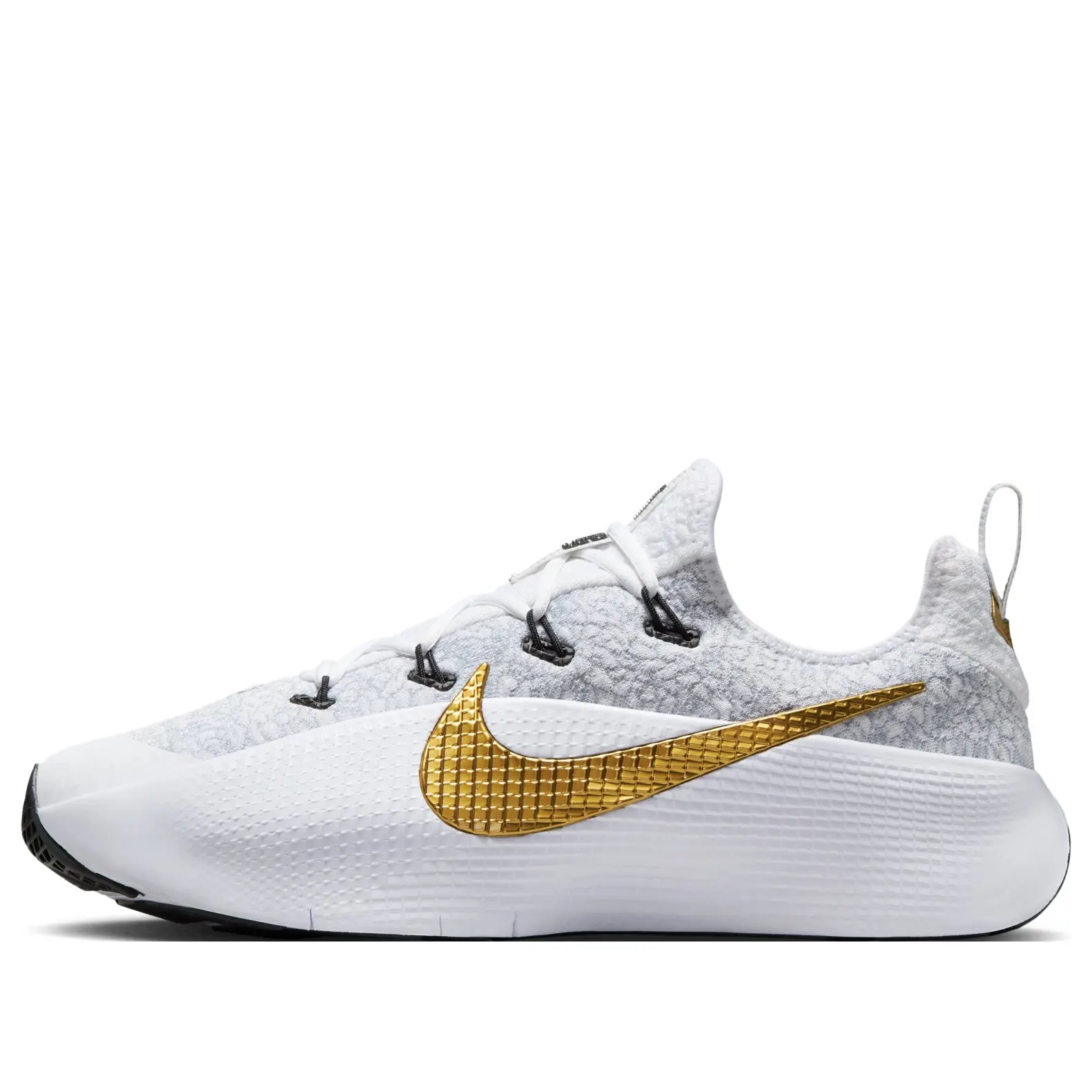 Nike LeBron TR 1 'Wolf Grey Metallic Gold' FJ6151-006