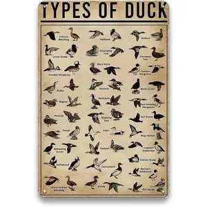 Types of Duck Sign - Duck Hunting Accessories, Vintage Metal Duck Decor Sign for Duck Hunting Gear, Outdoor, Kids Room Wall Decor Art, Cool Stuff Duck Hunting Gifts for Men Boys, 8 x 12 inch