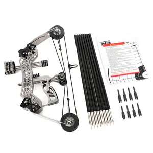 10.2inch Stainless Steel Mini Compound Bow Set, Comes with Arrows, Suitable for Beginners to Practice, Small Gift for Boyfriend