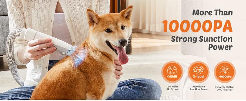 【Deal】Sweet Furniture Professional Pet Grooming Vacuum Kit with Cordless Low Noise Dog Clippers and 5 Groomer Tools for Cats and Dogs 【Deal】Sweet Furniture Professional Pet Grooming Vacuum Kit with Cordless Low Noise Dog Clippers and 5 Groomer Tools for Cats and Dogs