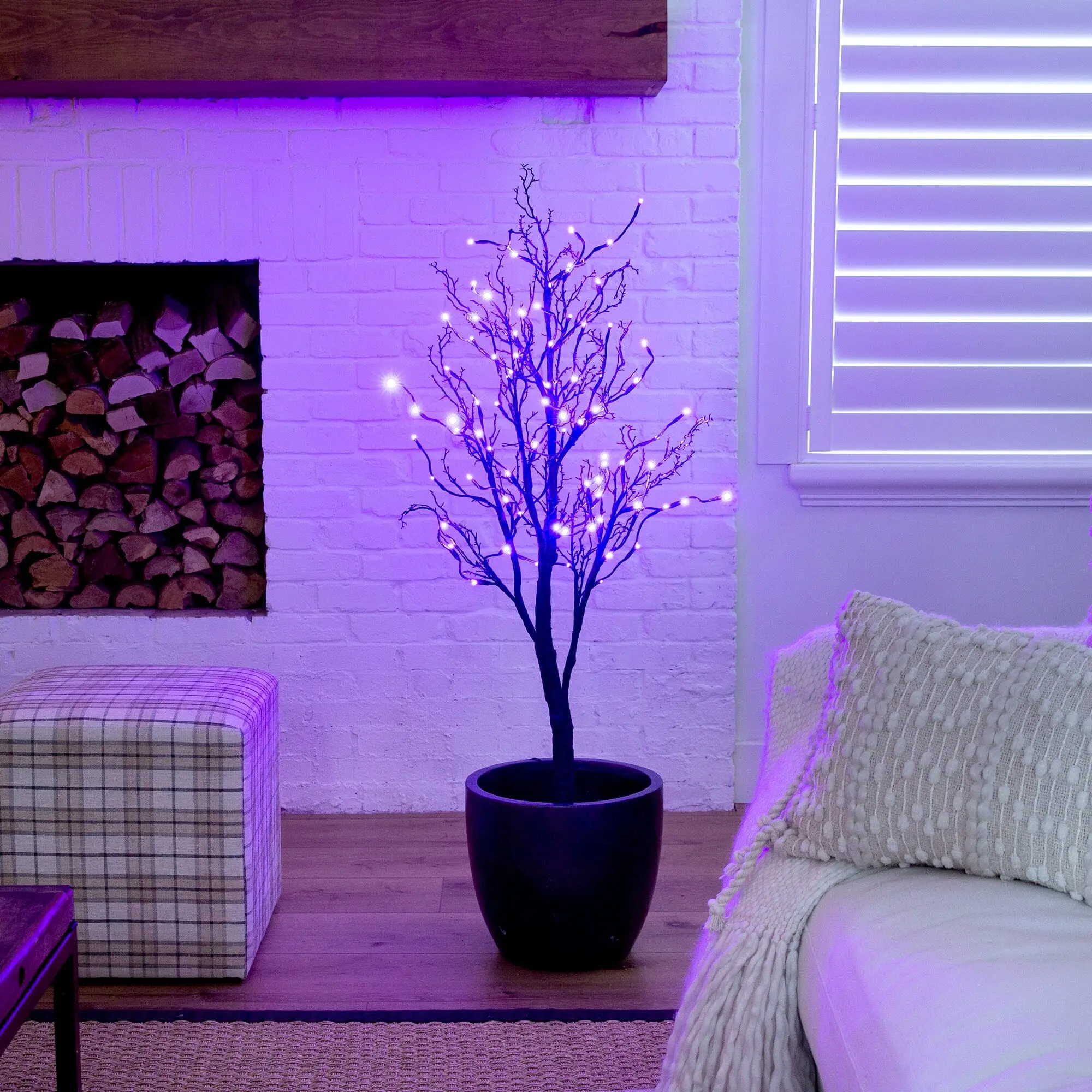 4ft Standing Pre-Lit Deluxe Black Twig Artificial Halloween Tree with 81 Orange & Purple Energy-Efficient LED Lights - Spooky Look, Twig Branches for Festive Room Decor