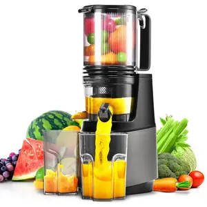 Cold Press Juicer,Slow Masticating Juicer Machines with 5.3" Large Feed Chute for Most Fruits and Vegetables,Easy to Clean Lemon Orange juicer with 250W Motor and High Juice Yield,Metal Gray