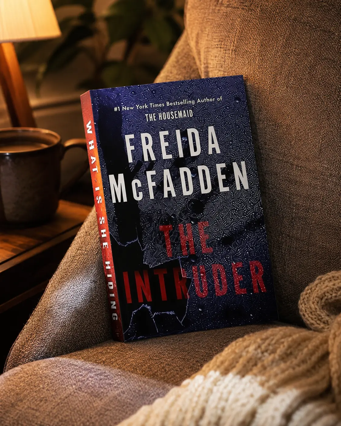 The Intruder by Freida McFadden – Gripping Domestic Thriller, Mysterious Stranger & Shocking Twists
