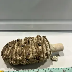 D- Crujidos - Clay- arcillas mil Hojas . Paletas Citrus  * Arcilla mil hojas  * Caolín coco * Trocitos de caolín coco-  está sumergida en mezcla de arcilla Acua y decorada con una mezcla de Terrón miel con terrón humo* made in mexico