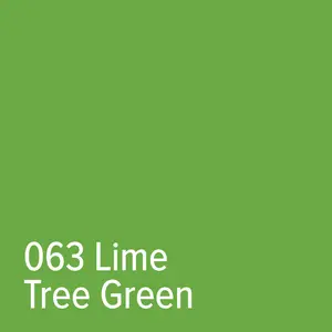 063 Lime-Tree Green - Adhesive Vinyl | Oracal 651
