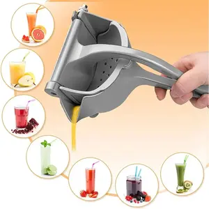 Large Capacity Manual Citrus Juicer, Fruit Juice Extractor, Stainless Steel & Glass Structure, Ergonomic Handle, Lever Mechanism, Easy Clean Parts