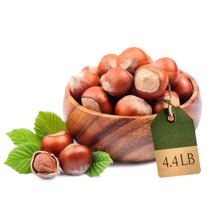 In-Shell Oregon Hazelnuts, 4.4 LB Bulk Bag - Whole Raw Filberts Grown in USA, Fresh Unsalted Natural Nuts Convenient for Large Quantities, Everyday Use, Gatherings