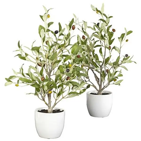 Nearly Natural 18" Olive Tree with Vase  Set of 2