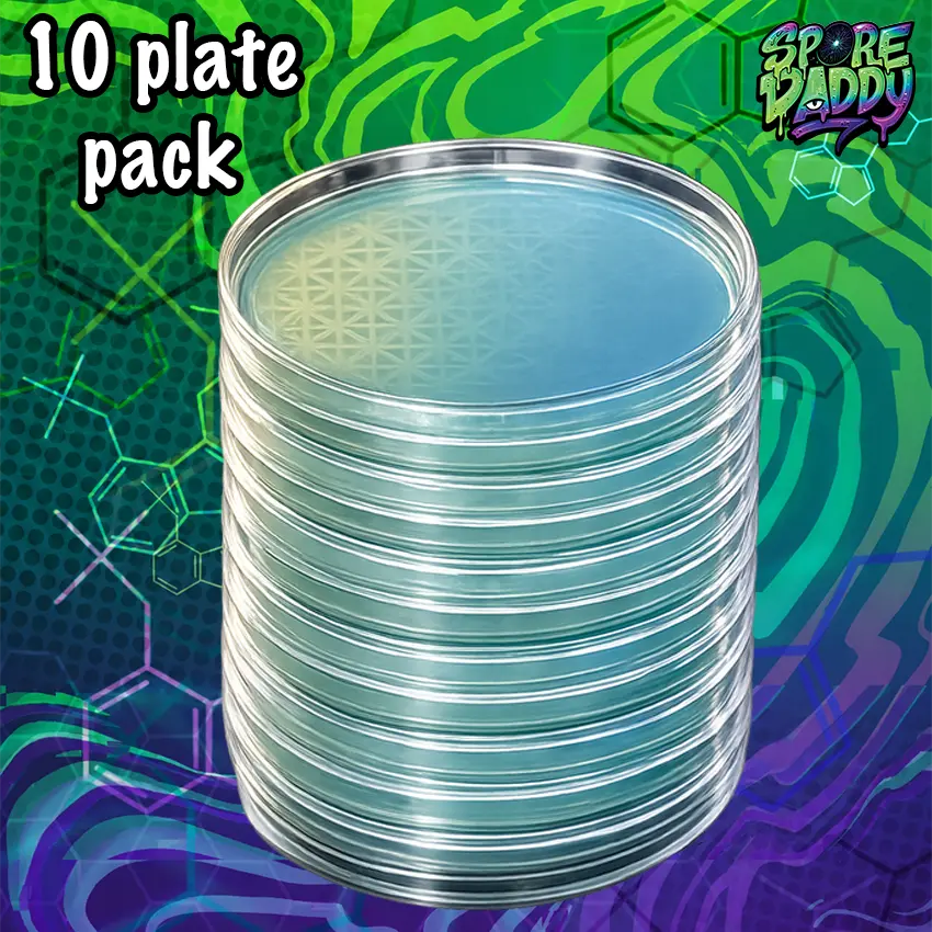 Agar plates ready to use for mycology | 10 pack