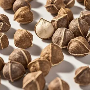 50 Moringa Seeds – Fast-Growing, Nutrient-Rich Superfood Tree for Home Gardens (Seeds Only)