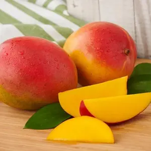 high-quality seedsFruit tree seeds--206pcs Mango Seeds Grain Delicious Fruit Juicy Fruity Rich Flavor High Yield Prosperous Production Delicate Edge
