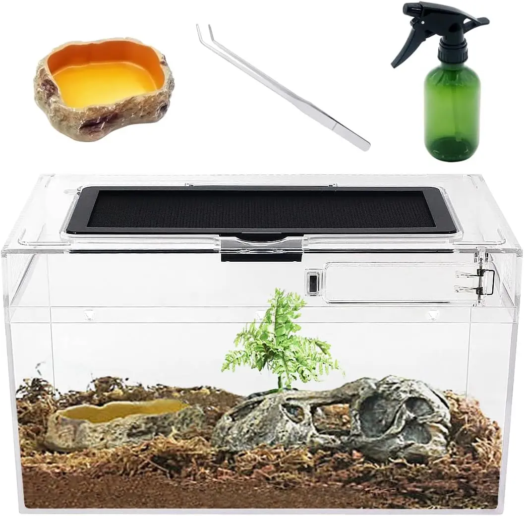 Mini Rectangle Reptile Terrarium Set - Tempered Glass Low Tank with Full View, Exclusive Key, UVB Penetration, Convenient Feeding Port for Reptiles, Amphibians, Small Pets (Insects, Tarantulas, Tortoises Included)