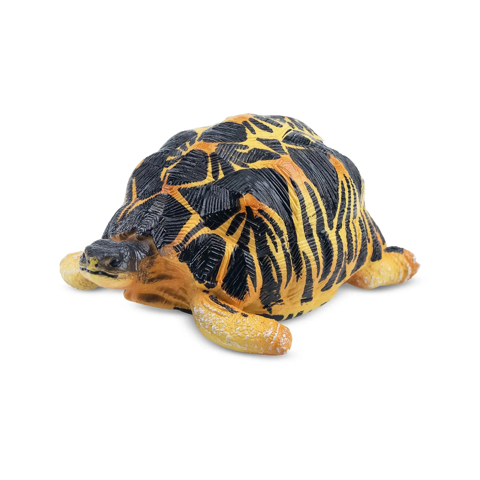 Toymany Hand-Painted Plastic Radiated Tortoise Figurine - Realistic Reptile Model for Early Education, Montessori Sensory Play, Desk Decor, Collectors & Thoughtful Gifts