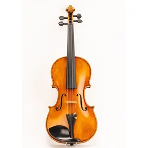 D Z Strad Viola - Model 800 - Viola Outfit w/ BAM Case and Two Bows: Incredible Sound, Unmatched Quality For Discerning Players