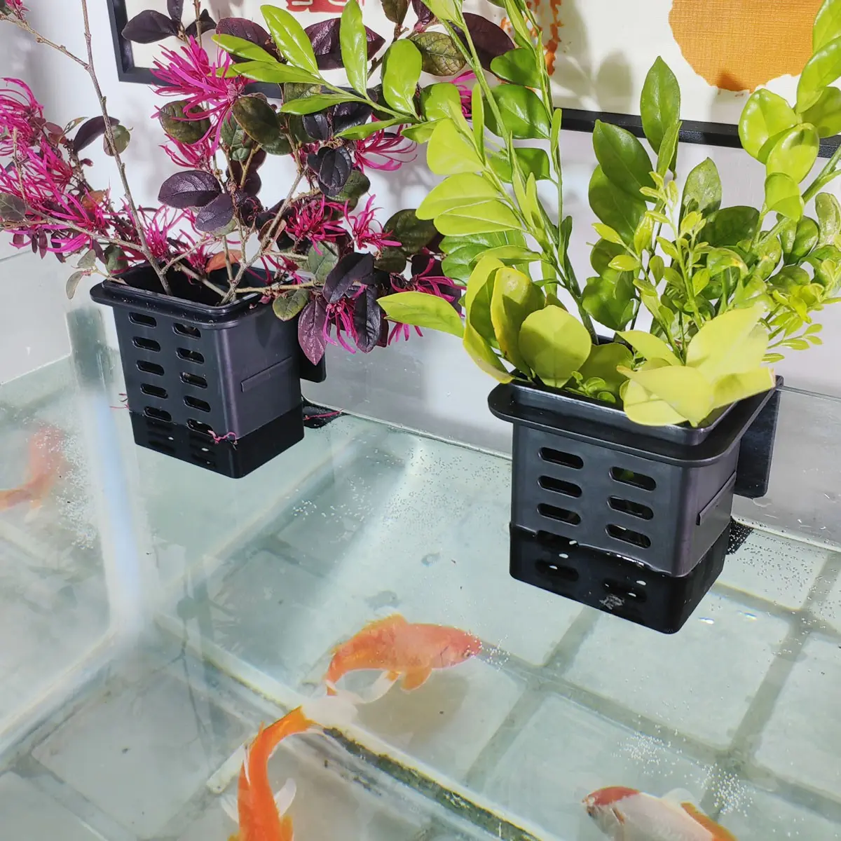 Aquarium Planting Cups Set, Water Plants Cultivation, Aquatic Plants, Decorative Aquarium Accessories, Aquarium Supplies, Wall Mount/glue Stick Installation Modes