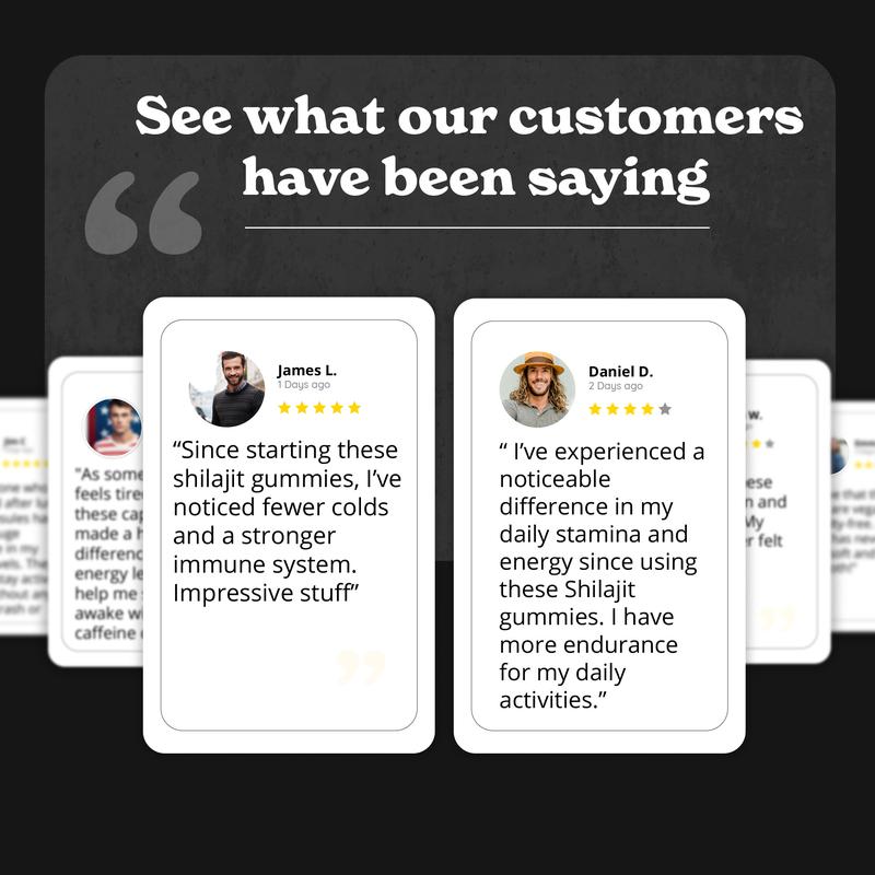 4 Packs of BetterAlt Pure Shilajit Resin Gummies | Tamarind & Mango Flavors | Helps Improve Stamina | Lab-Tested for Purity Healthcare Vitamin