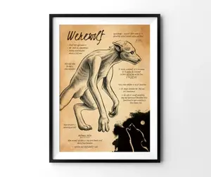 Werewolf Poster, HP Poster, HP Wall Hanging, HP Magic Animal Poster, Potterhead Home Decor, HP Wall Decor, Wizard World Poster 395918