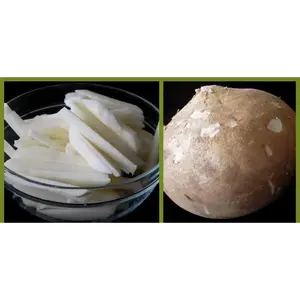 Jicama Seeds - Mexican Yam, Brown Color, Seeds Shaped Like Elongated Corn Kernels