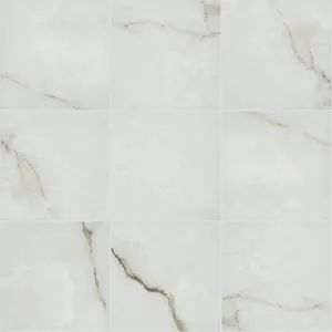 Astoria 24x24 Polished tiles
