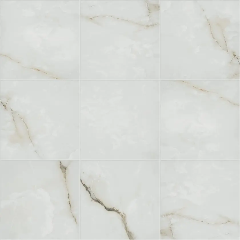 Astoria 24x24 Polished tiles