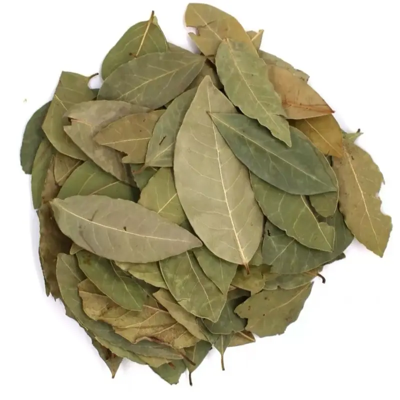 Bay Laurel