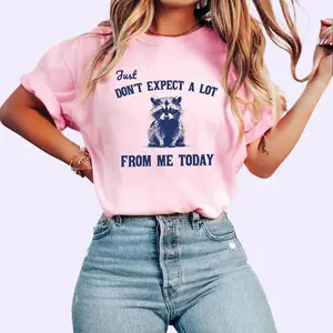 Don't Expect A Lot From Me Today Sweatshirt, Funny Crewneck, Sarcastic Raccoon Shirt, Retro Graphic Tee, Trendy Meme TShirt, Adult Humor Tee