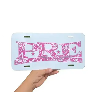 Paper Route Empire License Plate - Custom Design, Weather & Waterproof, Versatile for Cars & Trucks vehicle decoration