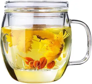 Glass Tea Cup with Infuser and Lid,500ml (17oz), Great Loose Tea-leaf Brewing System